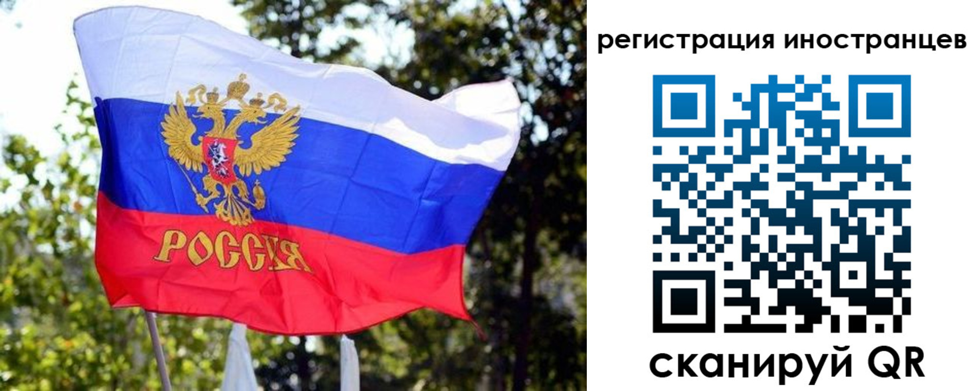 временная регистрация недорого в Апатитах